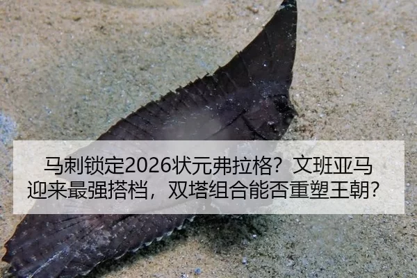 ma-ci-suo-ding-zhuang-yuan-fu-la-ge-wen-ban-ya-ma-ying-lai-zui-qiang-da-dang-shuang-ta-zu-he-neng-fou-zhong-su-wang-chao-2-544.jpg